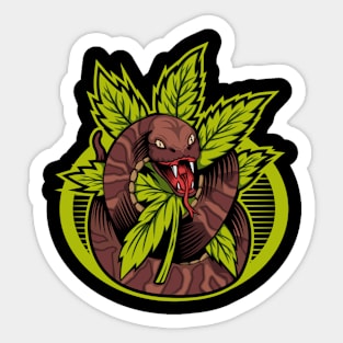 cannabis snake hododie and Sticker